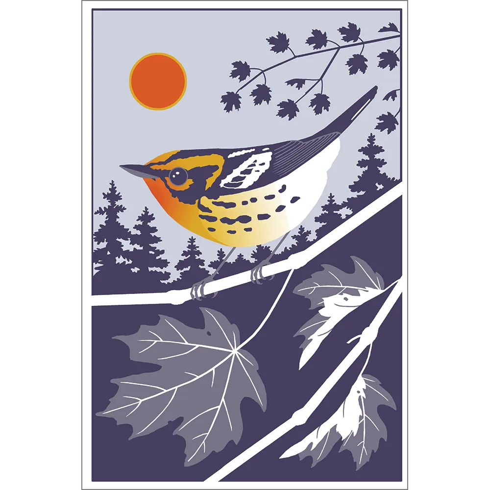 Beautiful Birds Poster Four-Pack