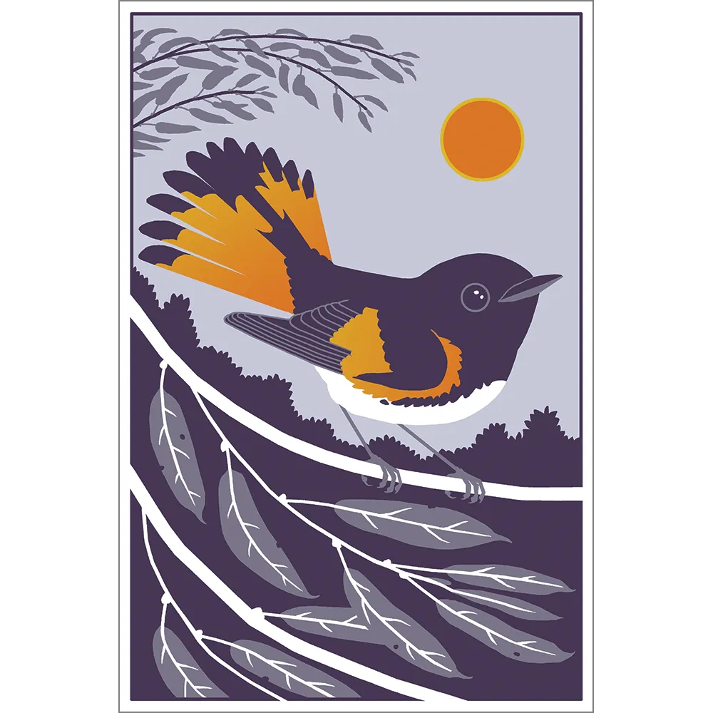 Beautiful Birds Poster Four-Pack