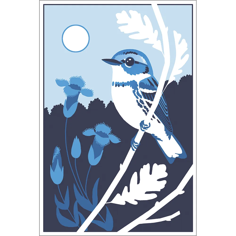 Beautiful Birds Poster Four-Pack