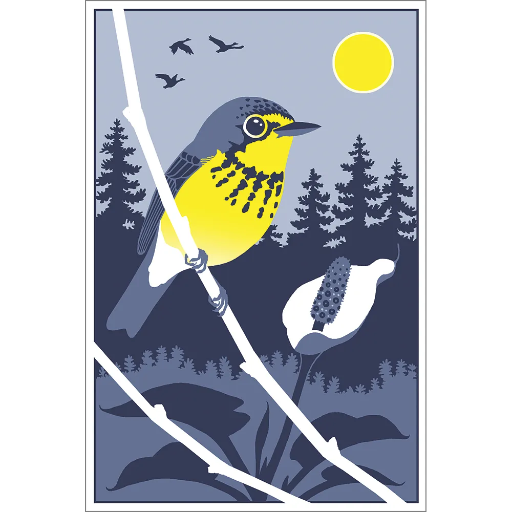 Beautiful Birds Poster Four-Pack