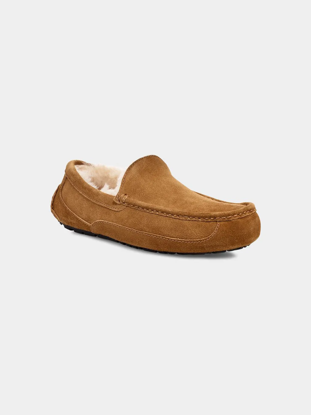 Men's Ascot Slipper
