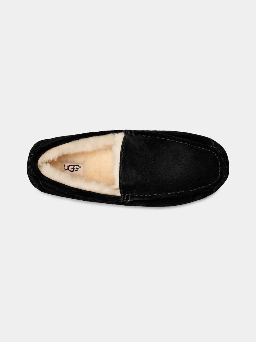 Men's Ascot Slipper