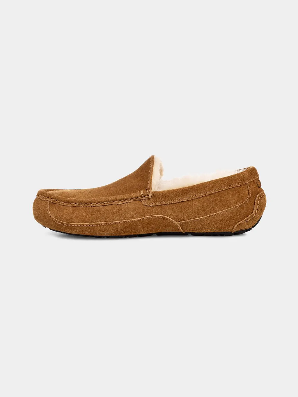 Men's Ascot Slipper