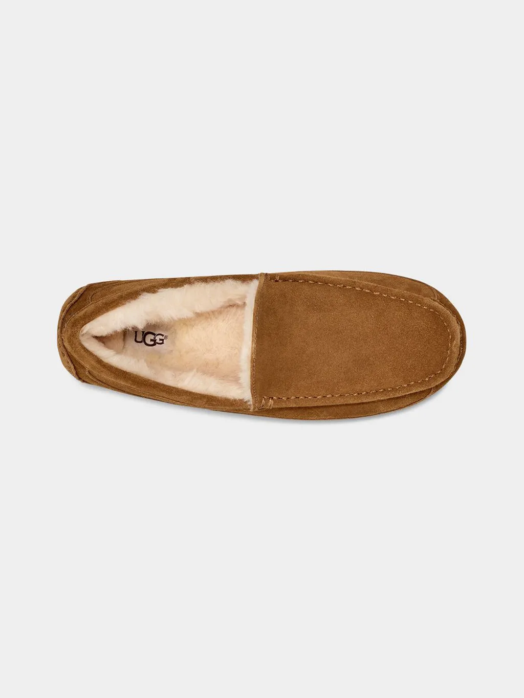 Men's Ascot Slipper