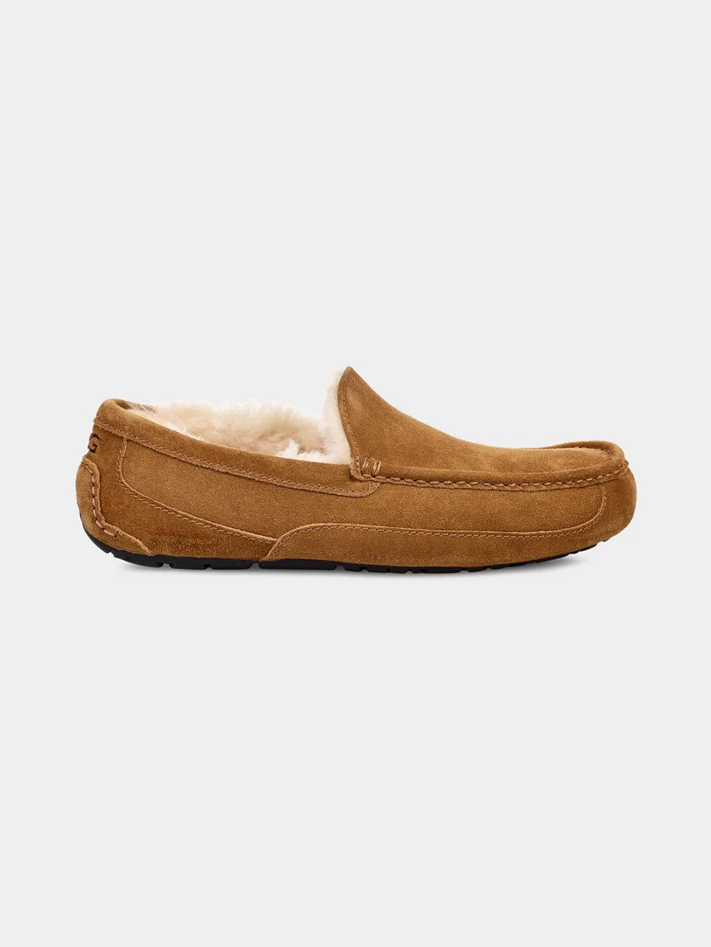 Men's Ascot Slipper