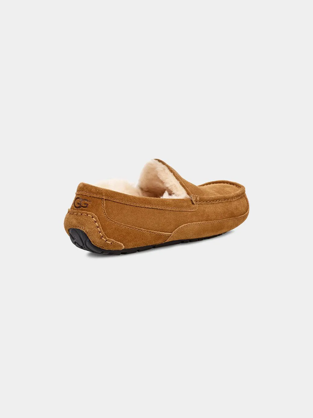 Men's Ascot Slipper