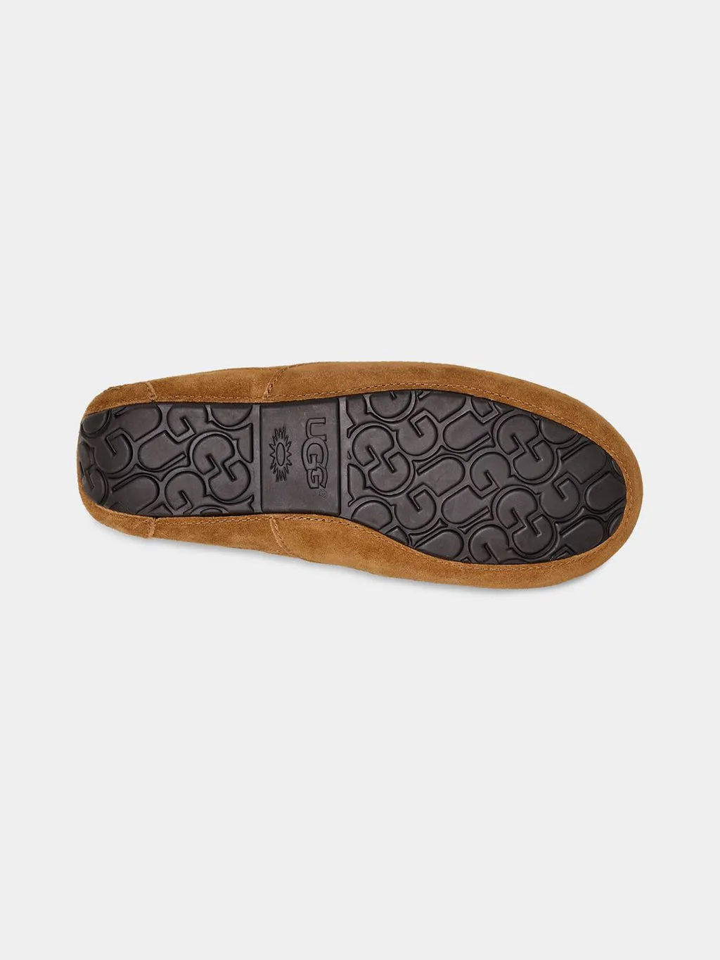 Men's Ascot Slipper