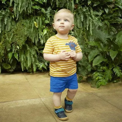 Start-Rite (JoJo) Companion 0815_9 Boys Navy Leather & Nubuck Touch Fastening Shoes