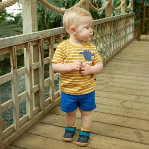 Start-Rite (JoJo) Companion 0815_9 Boys Navy Leather & Nubuck Touch Fastening Shoes